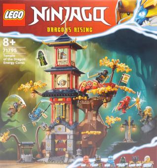 LEGO® Ninjago 71795 Tempel der Drachenpower 