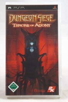 Dungeon Siege: Throne of Agony 